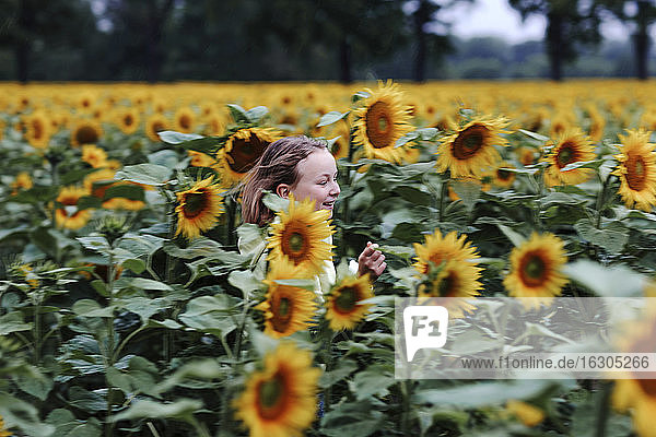 Lächelndes Mädchen läuft im Sommer in einem Sonnenblumenfeld