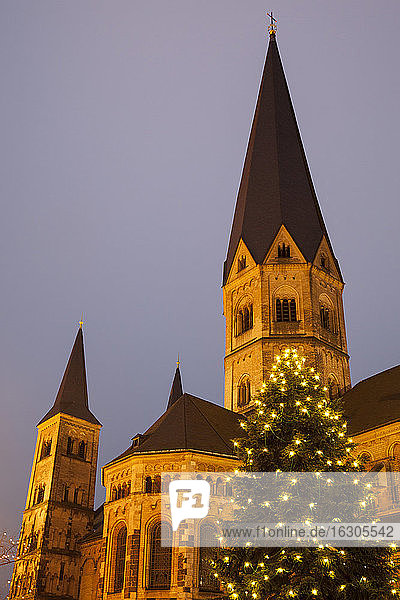 Deutschland  Nordrhein-Westfalen  Bonn  Weihnachtsbaum am Bonner Münster