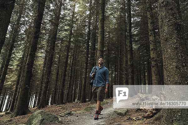 Männlicher Wanderer auf einem Wanderweg inmitten von Bäumen in einem Waldgebiet