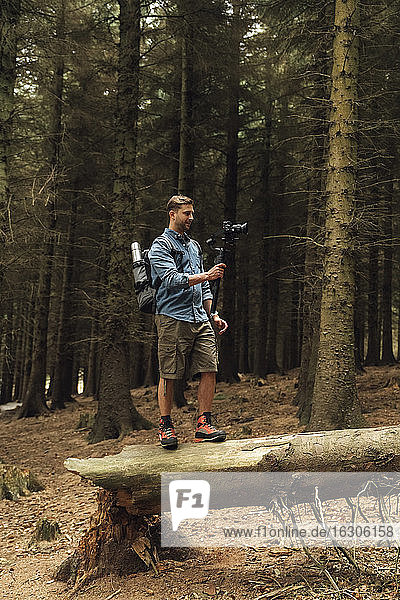 Mann filmt mit Kamera und Gimbal  während er auf einem Baumstamm gegen Bäume im Wald steht