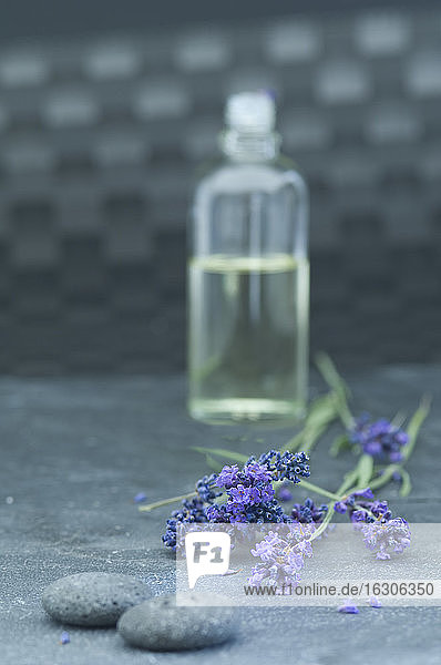 Lavendelöl in einer Glasflasche  Lavendelzweige und graue Kieselsteine