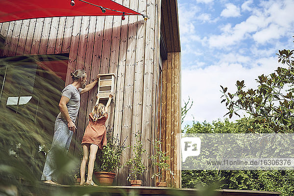Vater und Tochter hängen ein Insektenhotel an die Holzwand eines kleinen Hauses