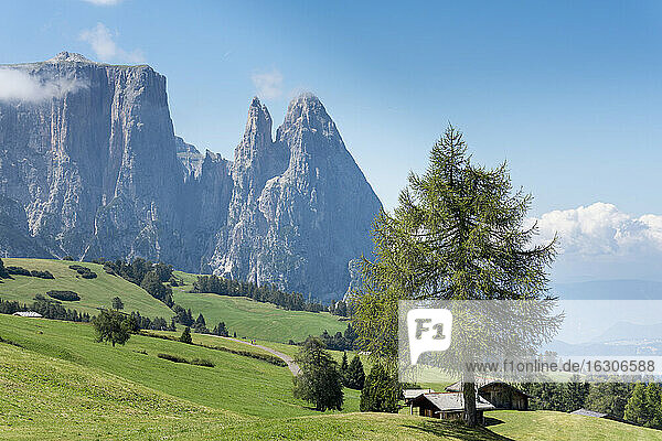 Italien  Südtirol  Seiseralm  Schlern und Santner Gipfel