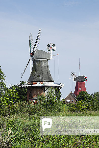 Germany  Lower Saxony  Krummhorn  Historic windmills in Greetsiel
