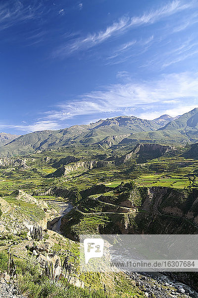 Südamerika  Peru  Colca-Schlucht