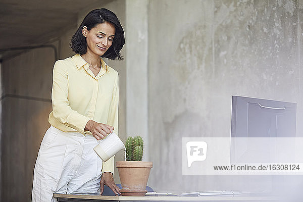 Lächelnde Unternehmerin  die eine Kaktuspflanze auf dem Schreibtisch im Büro gießt