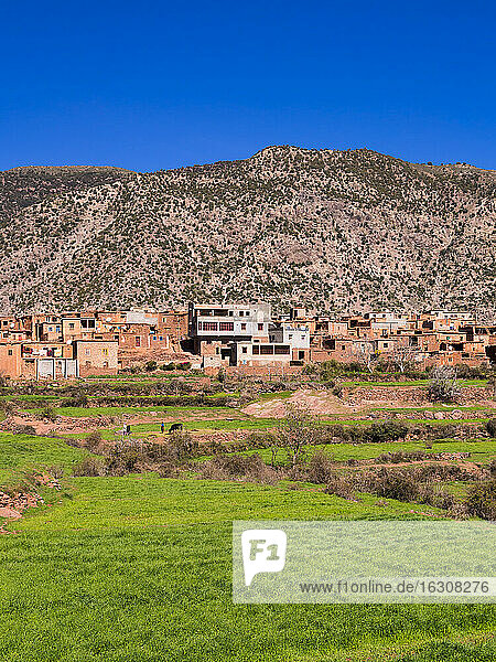 Marokko  Marrakesch-Tensift-El Haouz  Atlasgebirge  Ourika-Tal  Dorf Anammer  Lehmhäuser