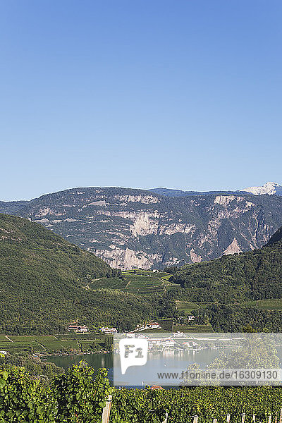 Italien  Südtirol  Kalterer See  Lago di Caldaro  Weinbaugebiet