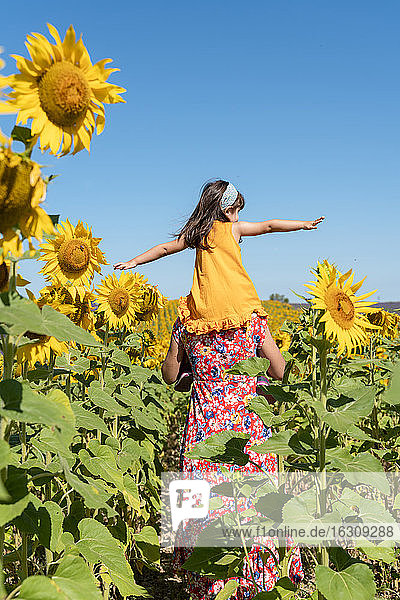 Mother carrying daughter on shoulders in sunflower field against clear blue sky