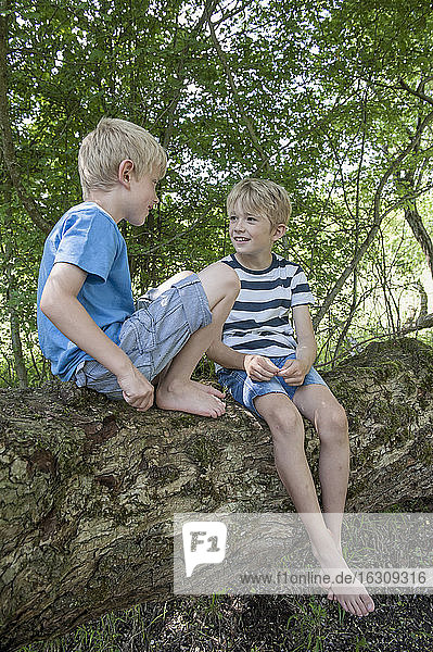 Germany  Bavaria  two boys sitting on a tree in the urban forest