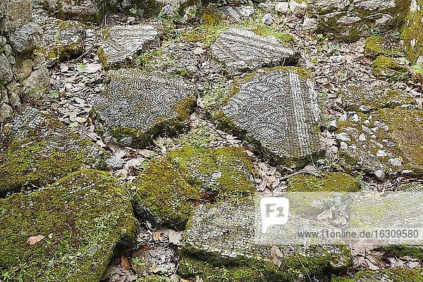 Turkey  Lycia  Lycian Coast  Demre  Olympos  pieces of ancient mosaic floor