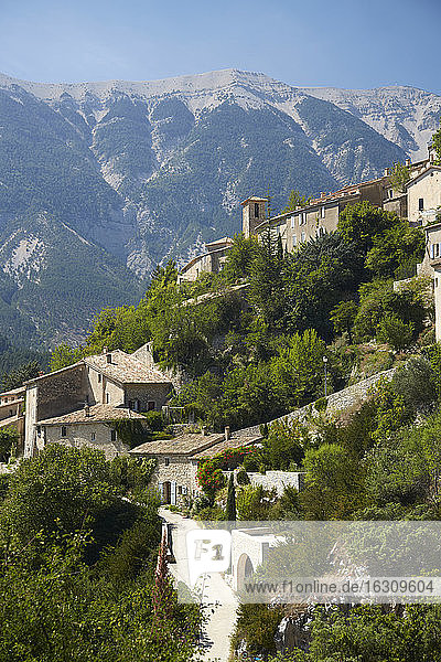 Frankreich  Brantes  Vaucluse  Provence  Mont Ventoux