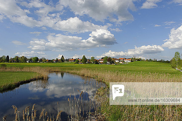 Deutschland  Ansicht einer Landschaft mit Häusern im Hintergrund  bei Uffing am Staffelsee