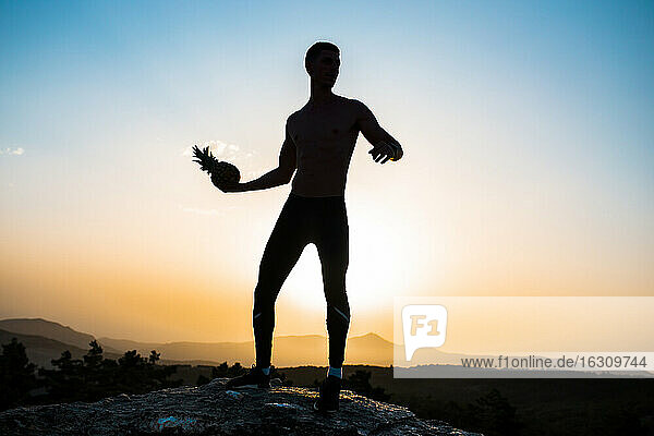 Silhouette eines Mannes  der eine Ananas hält und auf einem Felsen steht