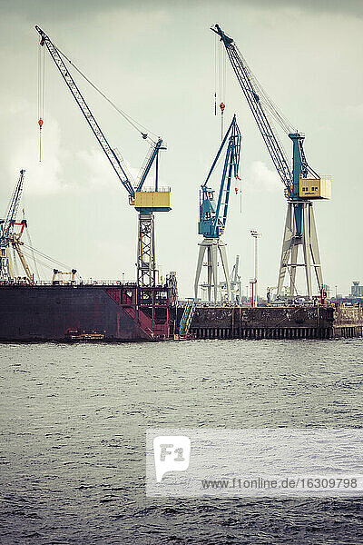 Deutschland  Hamburg  Kräne am Containerterminal Tollerort