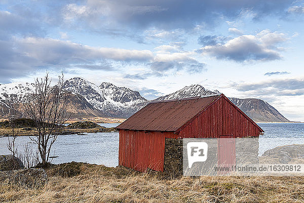 Norwegen  Lofoten  Altes Haus an der Küste von Vestvagoy