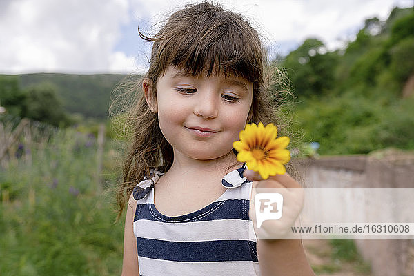 Niedliches Mädchen  das eine Blume betrachtet  während es im Freien steht