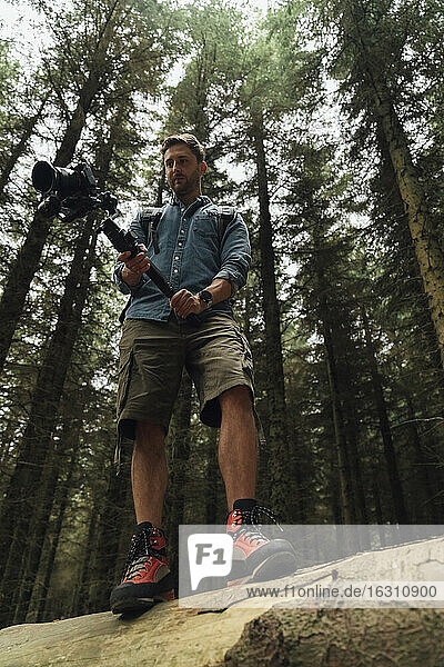 Mittlerer erwachsener Mann  der mit Kamera und Gimbal filmt  während er auf einem Baumstamm im Wald steht