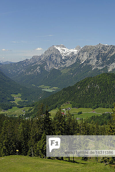 Deutschland  Bayern  Berchtesgadener Alpen  bei Ramsau  Reiter Alpe  Blick zum Hochkalter