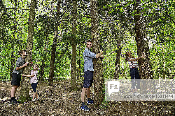 Familie umarmt Baum  während sie im Wald steht