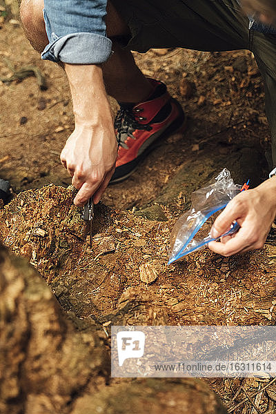 Nahaufnahme eines männlichen Biologen  der Schmutzproben von einem Waldboden nimmt