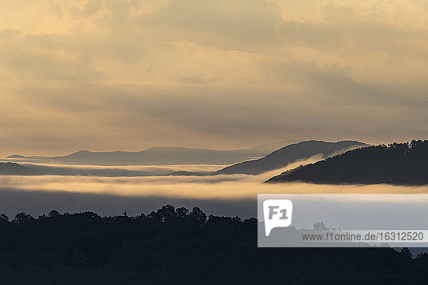 USA  Georgia  Fog and clouds above forest and Blue Ridge Mountains at sunrise