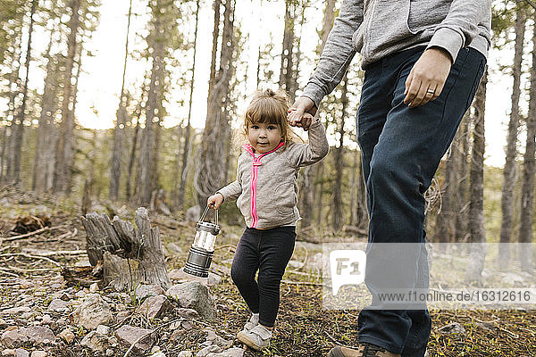 Vater mit Tochter (2-3) beim Waldspaziergang  Wasatch Cache National Forest