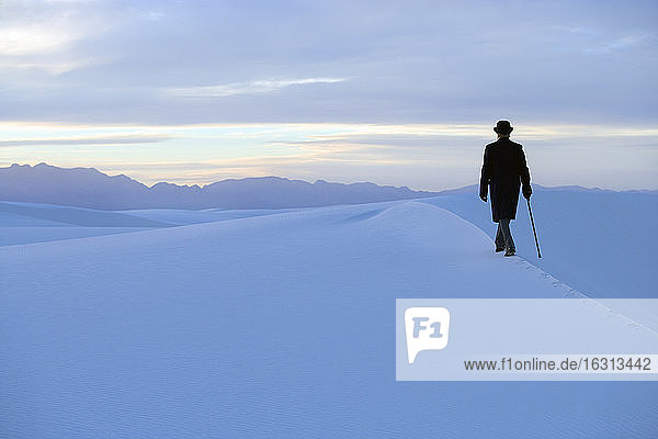 Rear view of man wearing coat and bowler hat walking through snow-covered landscape using cane.