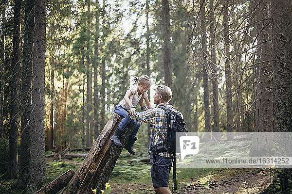 Father holding daughter over log in forest