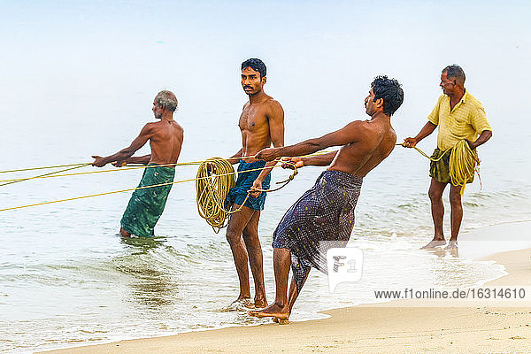 Fischer  die am belebten und beliebten Marari-Strand  Mararikulam  Alappuzha (Alleppey)  Kerala  Indien  Asien ein großes Stellnetz ans Ufer ziehen