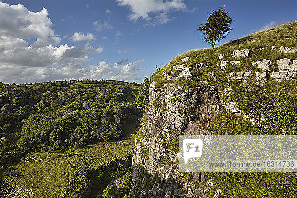 Die Kalksteinklippen der Cheddar-Schlucht in den Mendip-Hügeln  in der Nähe von Cheddar  Somerset  England  Vereinigtes Königreich  Europa