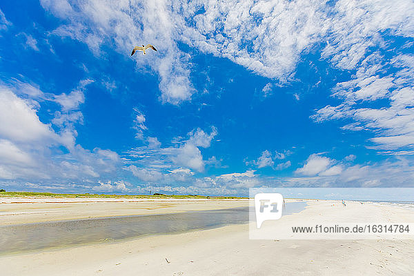 White sand beaches on Ship Island  Gulf Coast  Mississippi  United States of America  North America
