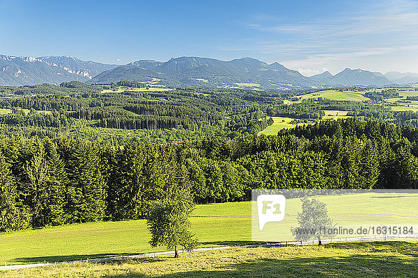 Blick von der Ratzinger Höhe auf die Chiemgauer Alpen  Riemsting  Oberbayern  Deutschland  Europa