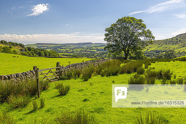Blick auf die Landschaft bei Little Hayfield  High Peak  Derbyshire  England  Vereinigtes Königreich  Europa