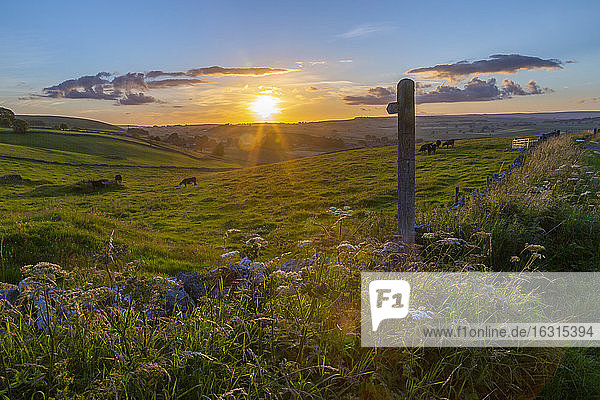 Blick auf Sonnenuntergang  Wanderwegweiser und Landschaft in der Nähe von Wardlow  Peak District National Park  Derbyshire  England  Vereinigtes Königreich  Europa