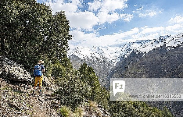Hiker on a hiking trail  hiking trail Vereda de la Estrella  behind Sierra Nevada with summits Mulhacén and Pico Alcazaba  snow-covered mountains near Granada  Andalusia  Spain  Europe