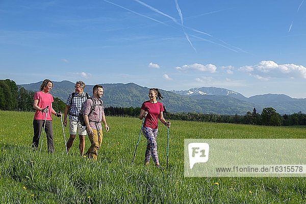 Group hiking  hike  Nantesbuch  in front of Benediktenwand  Bad Heilbrunn  Loisachtal  Upper Bavaria  Bavaria  Germany  Europe