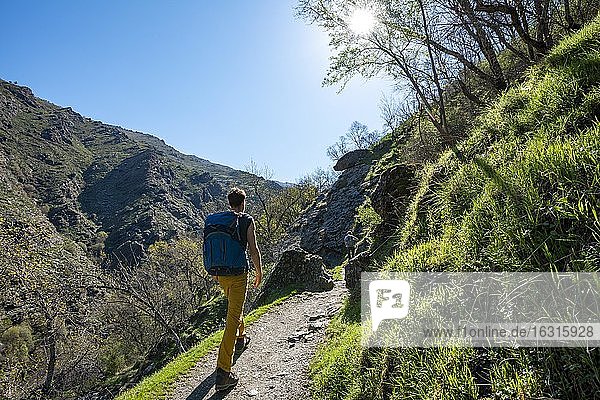 Hikers on hiking trail Vereda de la Estrella  Sierra Nevada  mountains near Granada  Andalusia  Spain  Europe