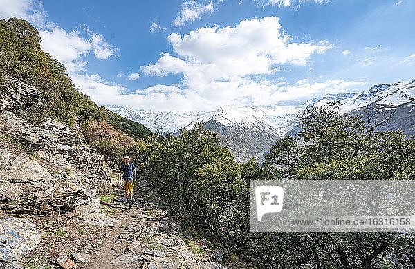 Hiker on hiking trail  Vereda de la Estrella  behind Sierra Nevada  snow covered mountains near Granada  Andalusia  Spain  Europe
