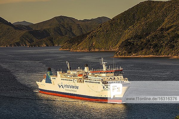 Ankommende Fähre von der Nordinsel bei Sonnenuntergang, Picton, Marlborough Sounds, Südinsel, Neuseeland, Ozeanien