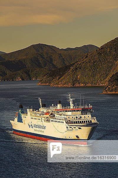 Ankommende Fähre von der Nordinsel bei Sonnenuntergang, Picton, Marlborough Sounds, Südinsel, Neuseeland, Ozeanien