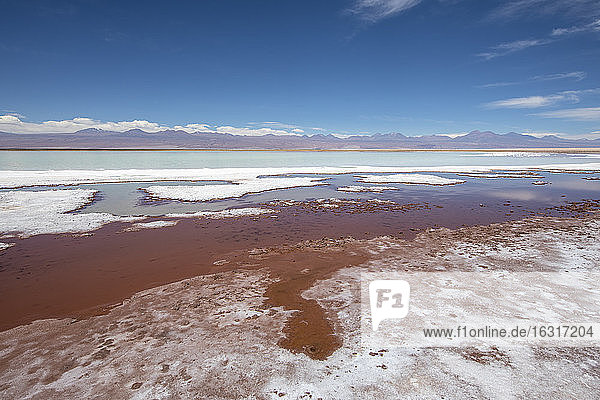 Laguna Tebenquicne  eine Salzwasserlagune im Salar de Atacama  Nationalreservat Los Flamencos  Chile  Südamerika