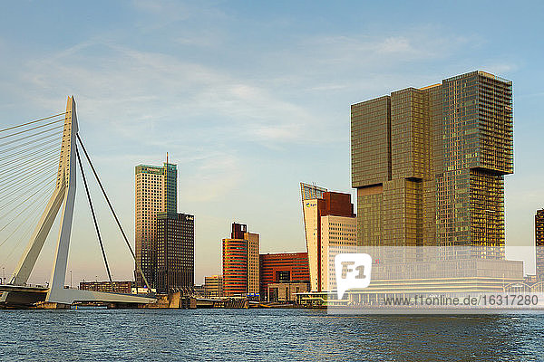Erasmus Bridge over Nieuwe Maas River at sunset  Rotterdam  South Holland  Netherlands  Europe