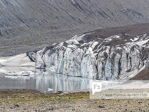 Gletscher und Schmelzwassersee in der St. Andrews Bay  Südgeorgien  Polarregionen