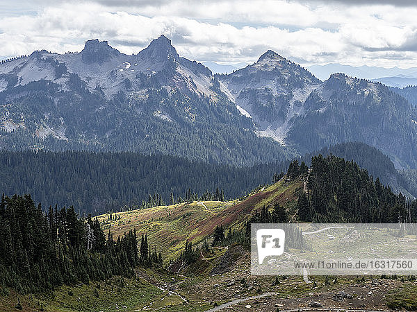 Ansichten vom Skyline Trail des Mount Rainier Nationalparks  Bundesstaat Washington  Vereinigte Staaten von Amerika  Nordamerika