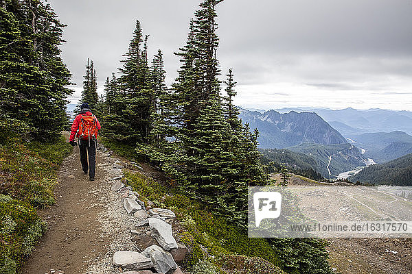 Views from the Skyline Trail of Mount Rainier National Park  Washington State  United States of America  North America