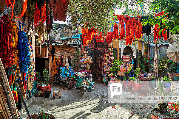 Dyeing of wool  Marrakesh  Morocco  Africa