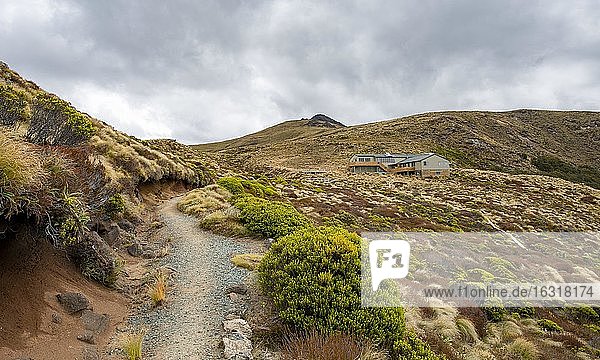 Wanderweg Kepler Track  Luxmore Hut  Fiordland Nationalpark  Southland  Südinsel  Neuseeland  Ozeanien