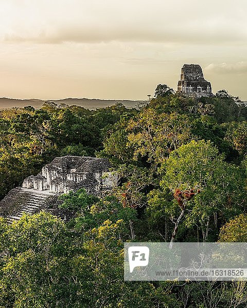 Maya Tempel im Regenwald  antike Stadt der Maya  Tikal Nationalpark  Guatemala  Mittelamerika