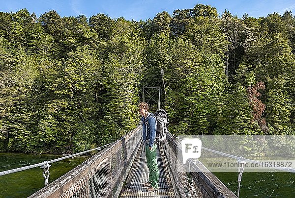 Hiker on suspension bridge  Waiau River  Kepler Track  Fiordland National Park  Southland  South Island  New Zealand  Oceania